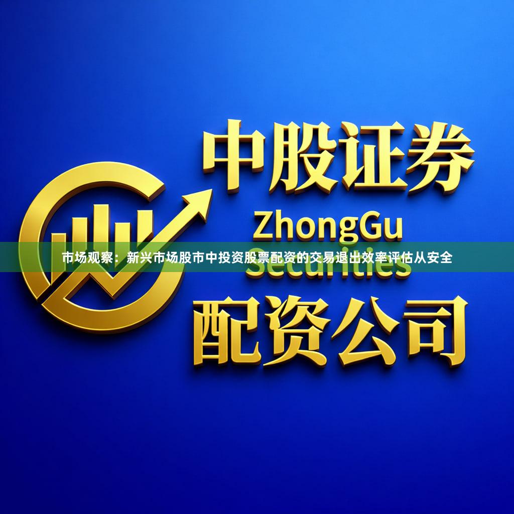 市场观察：新兴市场股市中投资股票配资的交易退出效率评估从安全
