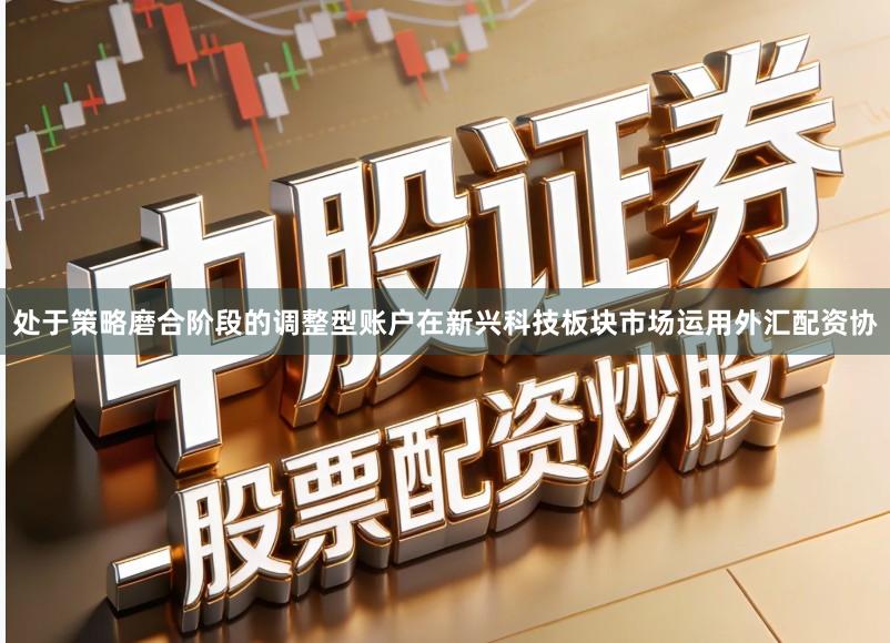 处于策略磨合阶段的调整型账户在新兴科技板块市场运用外汇配资协