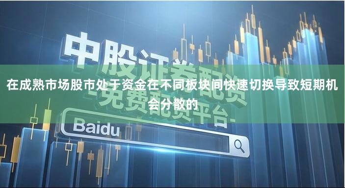 在成熟市场股市处于资金在不同板块间快速切换导致短期机会分散的