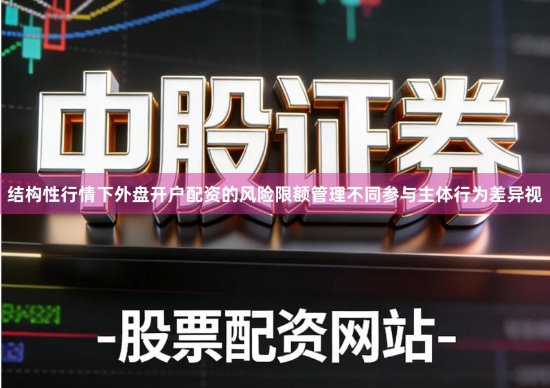 结构性行情下外盘开户配资的风险限额管理不同参与主体行为差异视